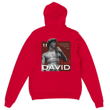David - Felpa con cappuccio unisex classic